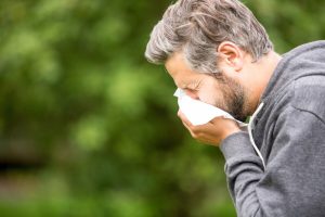 hay fever sufferer in stoke on trent